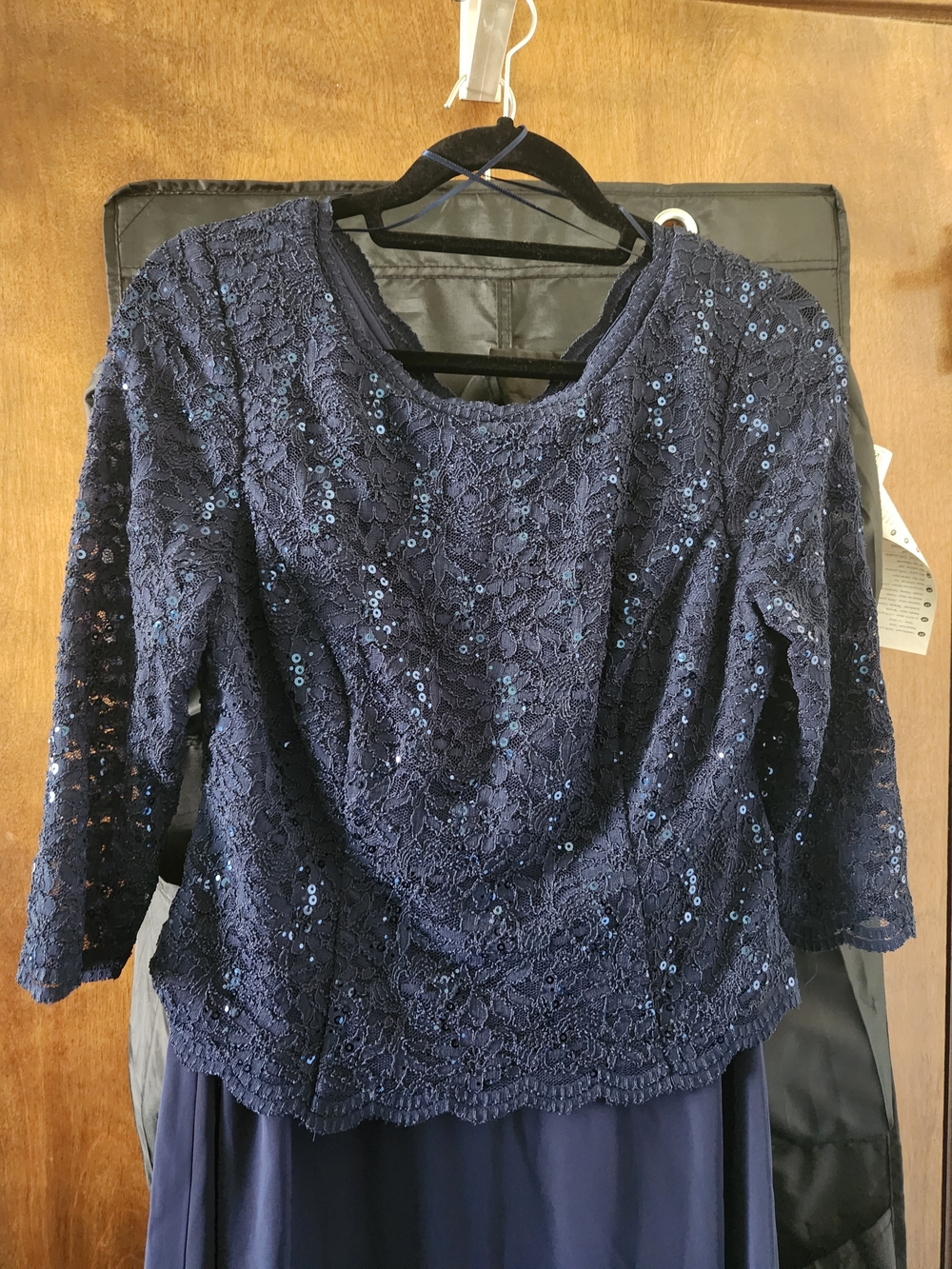 Alex Evenings Navy Sequined Lace & Chiffon Evening Gown - Picture 3 of 9